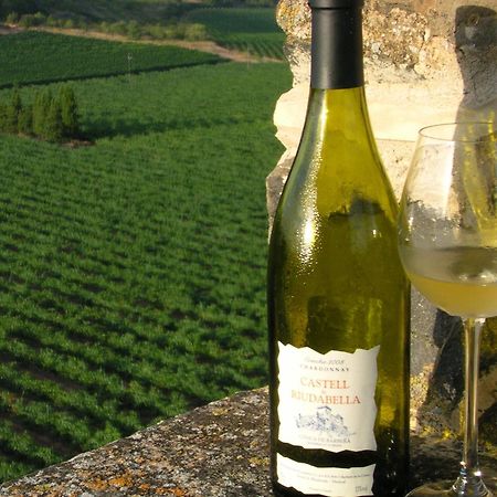 Апартаменты Castell De Riudabella Vimbodi I Poblet Экстерьер фото