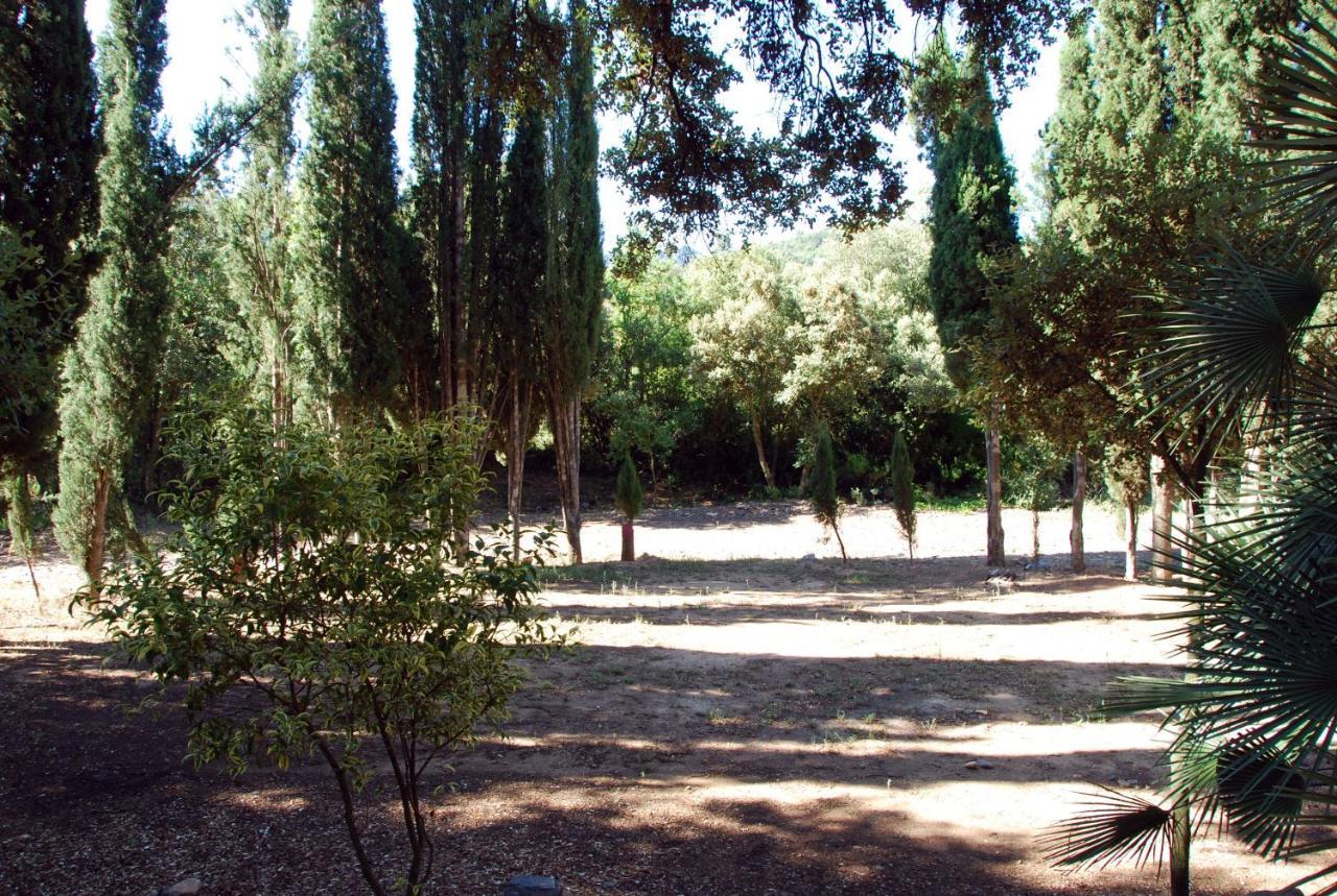 Апартаменты Castell De Riudabella Vimbodi I Poblet Экстерьер фото