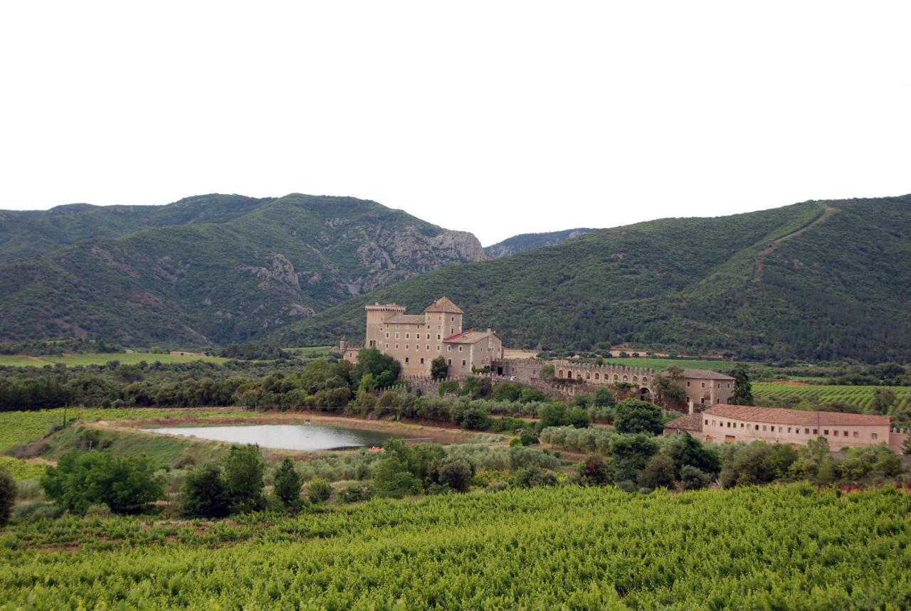 Апартаменты Castell De Riudabella Vimbodi I Poblet Экстерьер фото