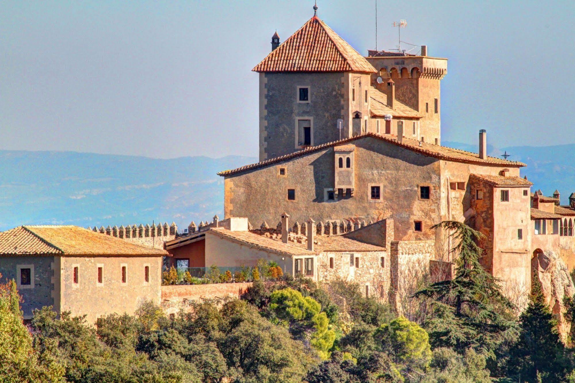 Апартаменты Castell De Riudabella Vimbodi I Poblet Экстерьер фото